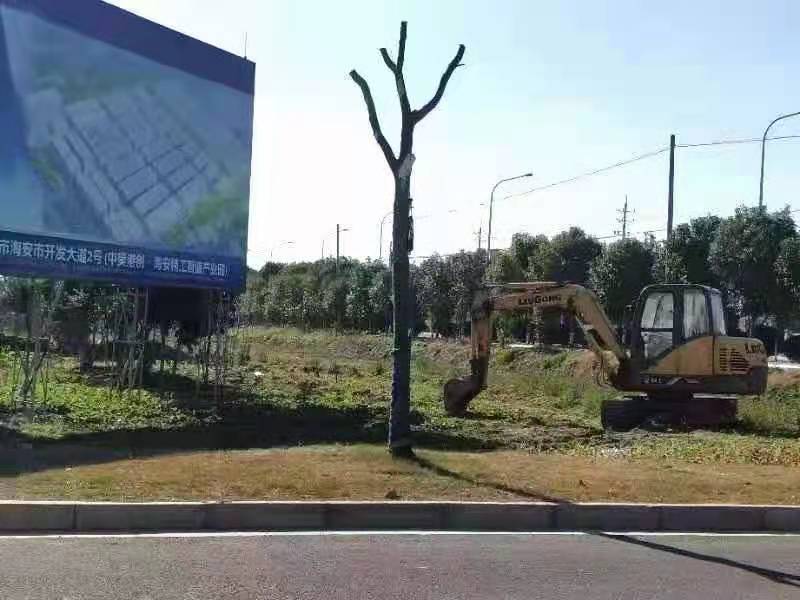 南通 精工智造產(chǎn)業(yè)園 單雙層稀缺廠房出售 南通 精工智造產(chǎn)業(yè)園 單雙層稀缺廠房出售