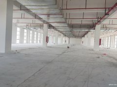 【園區(qū)直招】蘇通園區(qū)全新廠房，面積1150平，單層獨(dú)棟均有