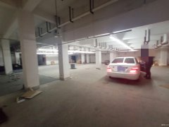 便宜地下倉(cāng)庫(kù)出租，南通植物園南側(cè)，交通方便，有獨(dú)立大門(mén)CC