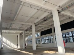 主城核心獨棟 雙拼 三拼 兩層 三層 三層半 單層廠房出售